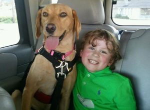 a boy and his Diabetic Alert dog